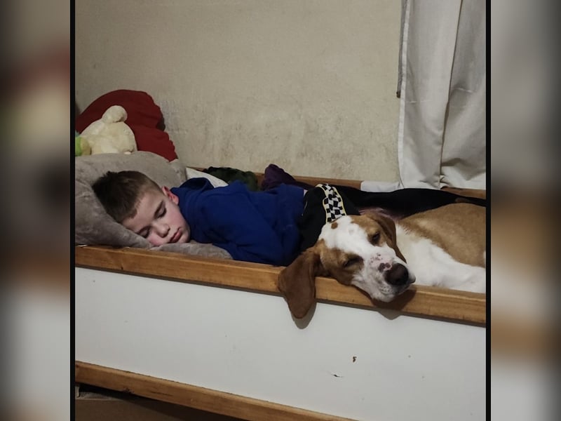 Winter eine wundervolle Seelenhündin Winter eine wundervolle Seelenhündin