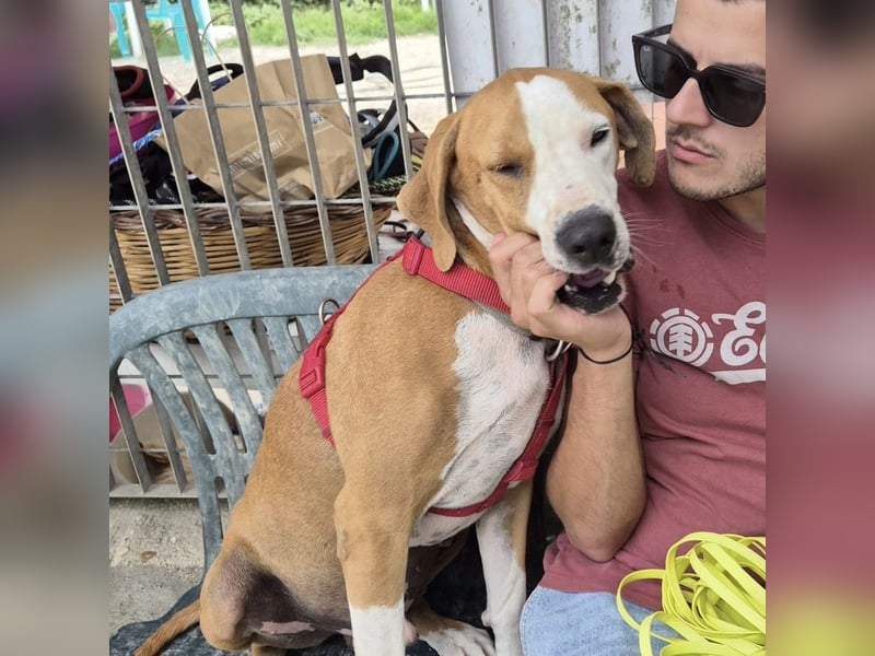 Gregorio - junger dynamischer Wirbelwind