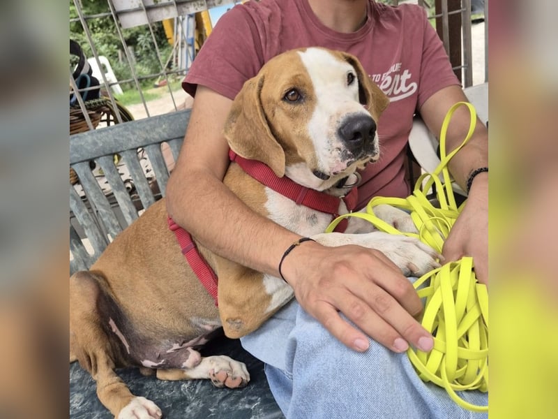 Gregorio - junger dynamischer Wirbelwind