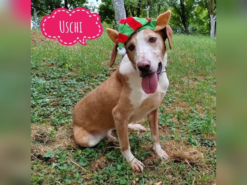 Uschi eine wundervolle Seele
