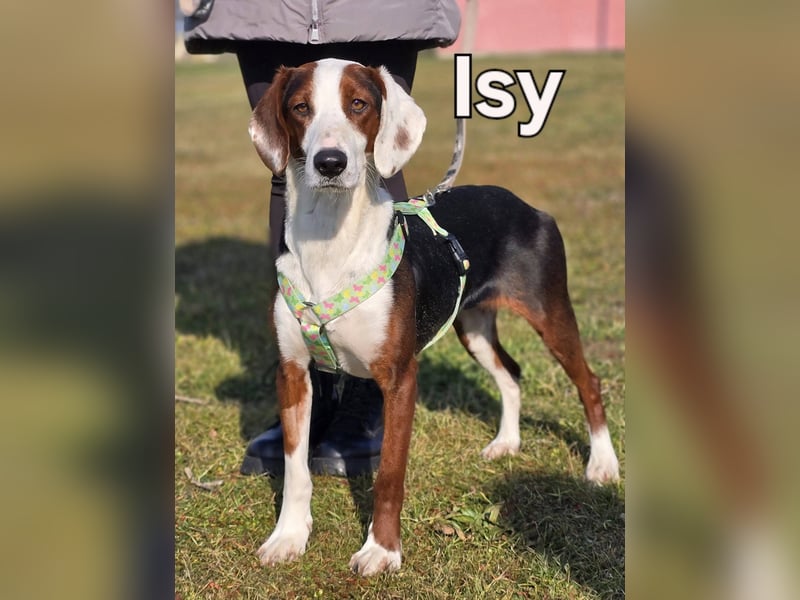 Isy❤️
