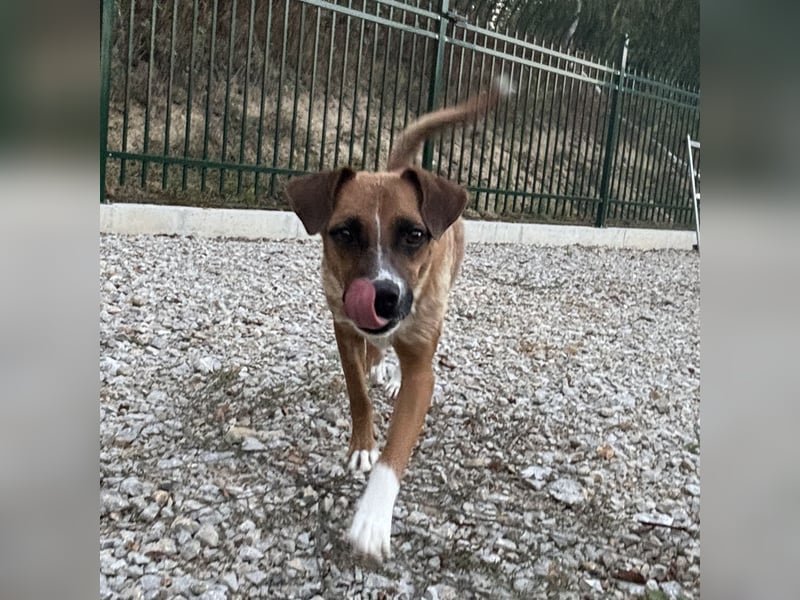 Coop ein wundervolles Wesen