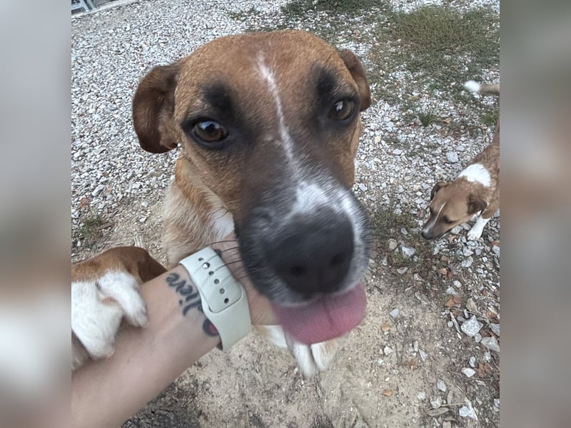 Coop ein wundervolles Wesen