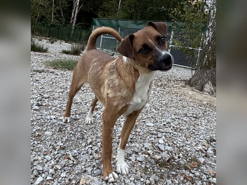 Coop ein wundervolles Wesen