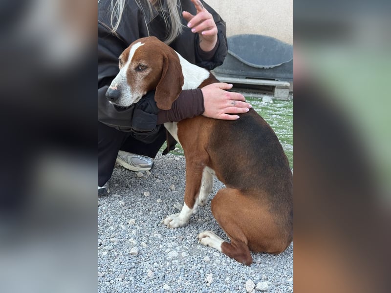 Kleppo ❤️ so menschenbezogen + schmusig