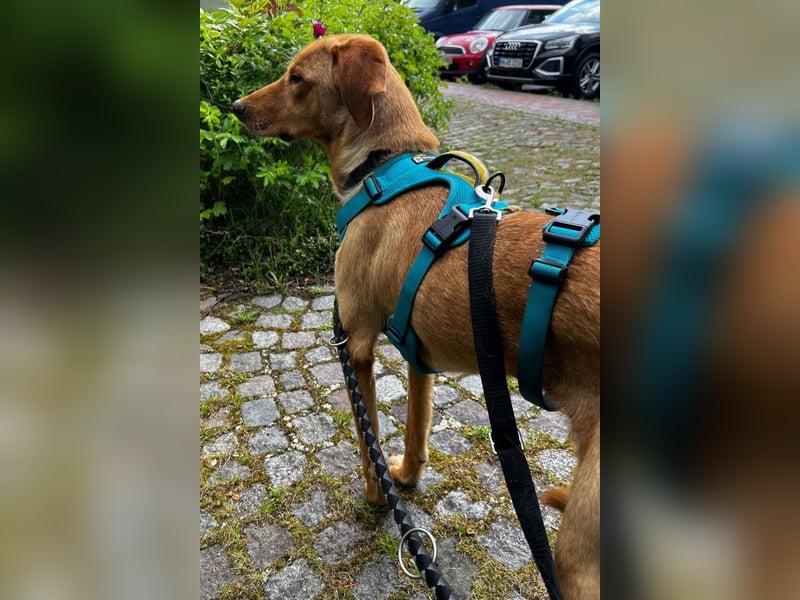 Dany ❤️ wartet bereits in 21075 Hamburg
