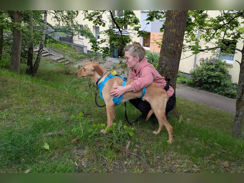 Dany ❤️ wartet bereits in 21075 Hamburg