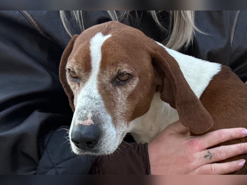 Kleppo ❤️ so menschenbezogen + schmusig