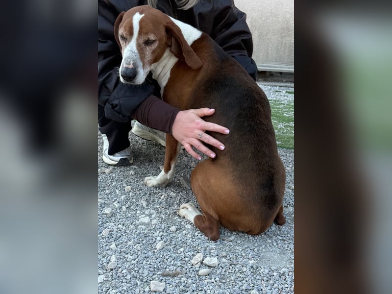 Kleppo ❤️ so menschenbezogen + schmusig