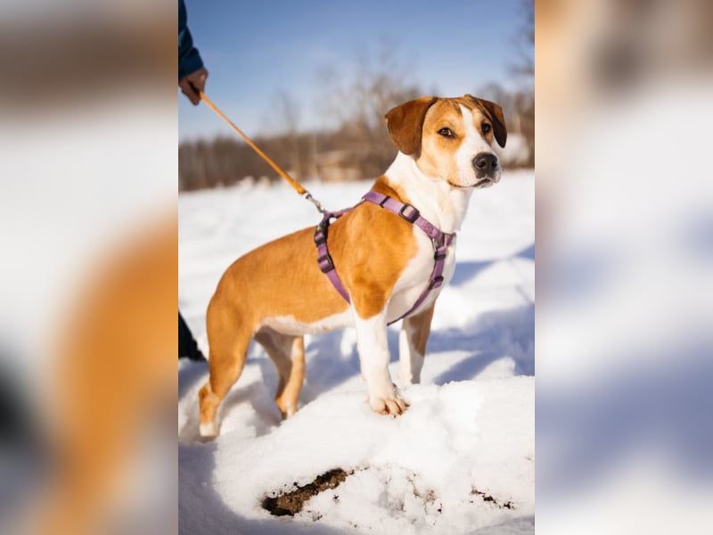 Robin ❤️ verspielte, liebenswerte Schnute