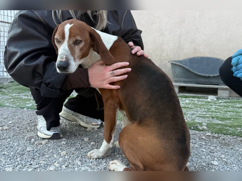 Kleppo ❤️ so menschenbezogen + schmusig