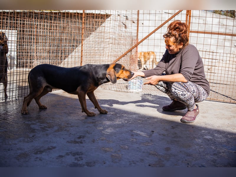 Levi ❤️ lieber, schüchterner Bub sucht sein Zuhause