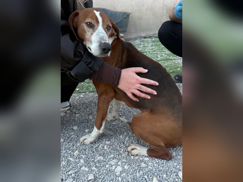 Kleppo ❤️ so menschenbezogen + schmusig