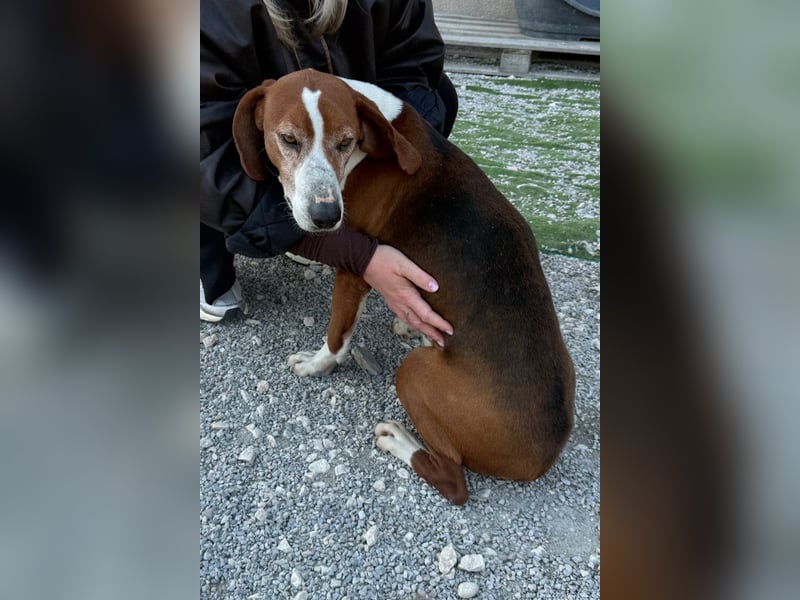 Kleppo ❤️ so menschenbezogen + schmusig