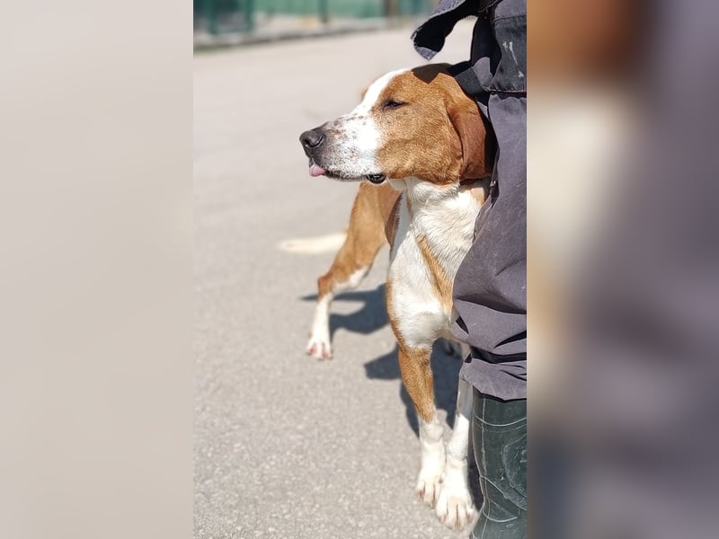 aktiver GUS sucht seine Familie