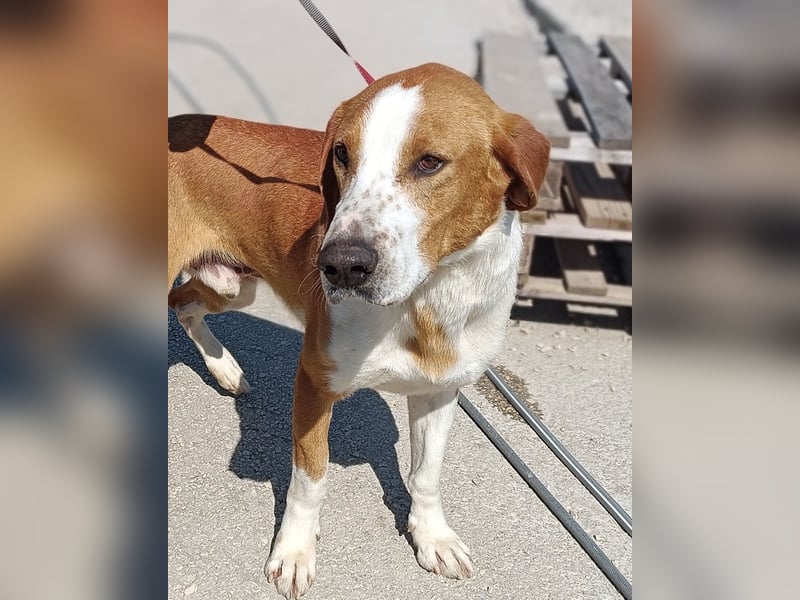 aktiver GUS sucht seine Familie