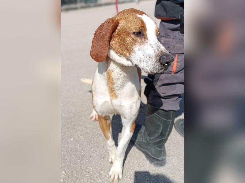 aktiver GUS sucht seine Familie