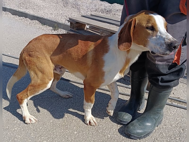 aktiver GUS sucht seine Familie