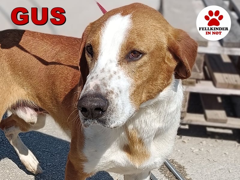 aktiver GUS sucht seine Familie