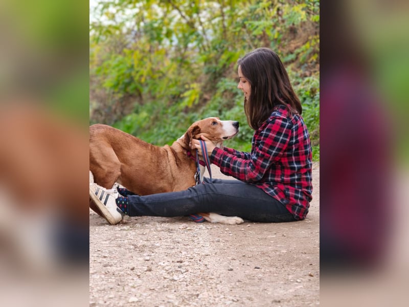 Max - unkomplizierte Savetal Bracke