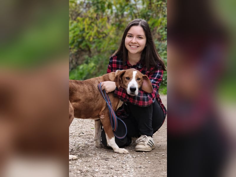 Max - unkomplizierte Savetal Bracke