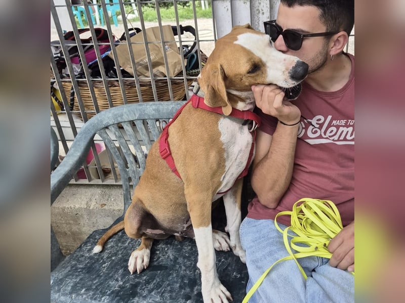 Gregorio - junger dynamischer Wirbelwind