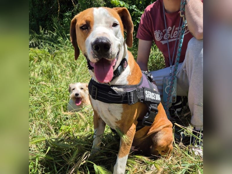 Gregorio - junger dynamischer Wirbelwind