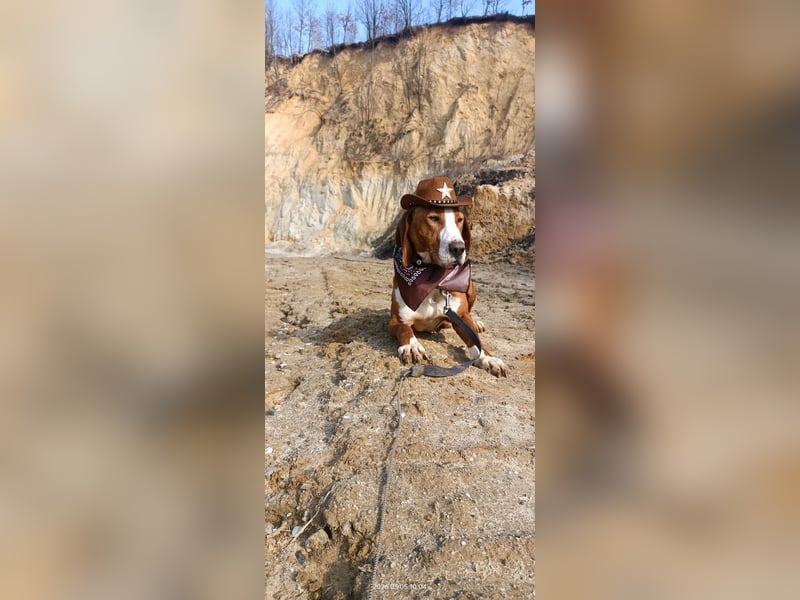 Barbara - sanfte Save Bracke