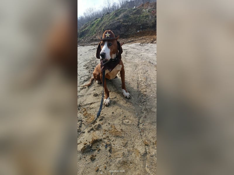 Barbara - sanfte Save Bracke