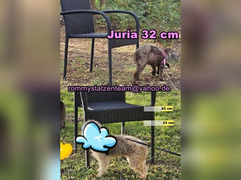 Juria ist sehr sanft und sensibel