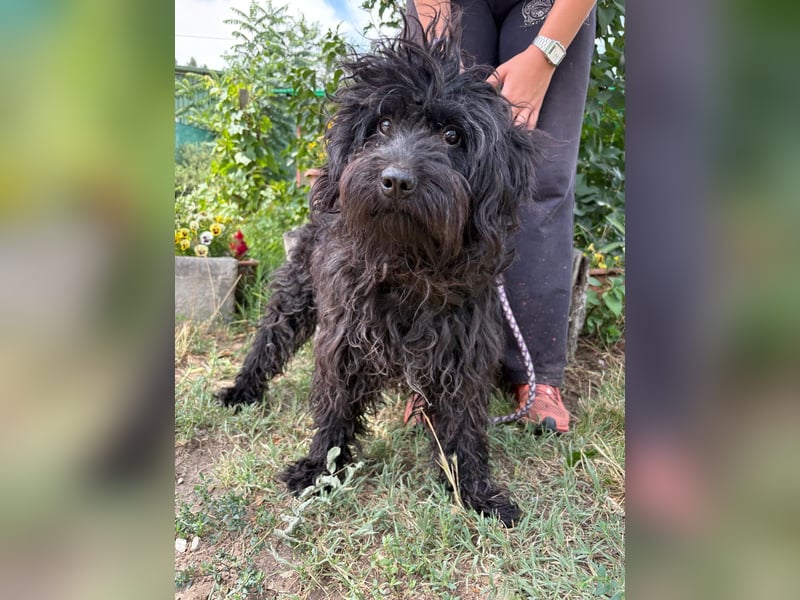 Alina, bereit fürs neue Leben