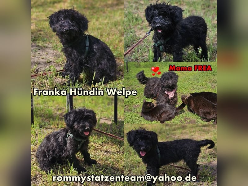 Franka hat einige Flausen im Kopf