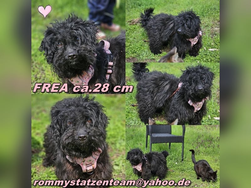 Frea zeigt sich klug und aufmerksam