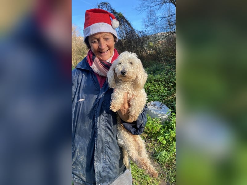 Mischa - zuckersüß, aber nicht aus Zucker