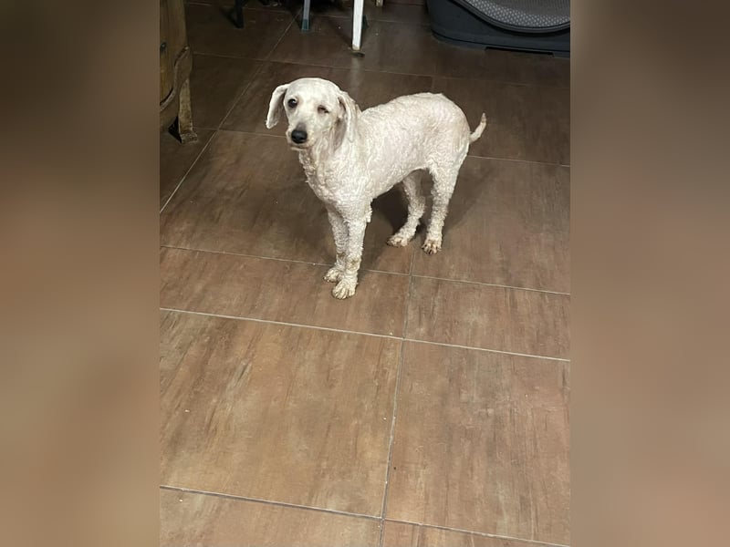 Malna möchte ankommen