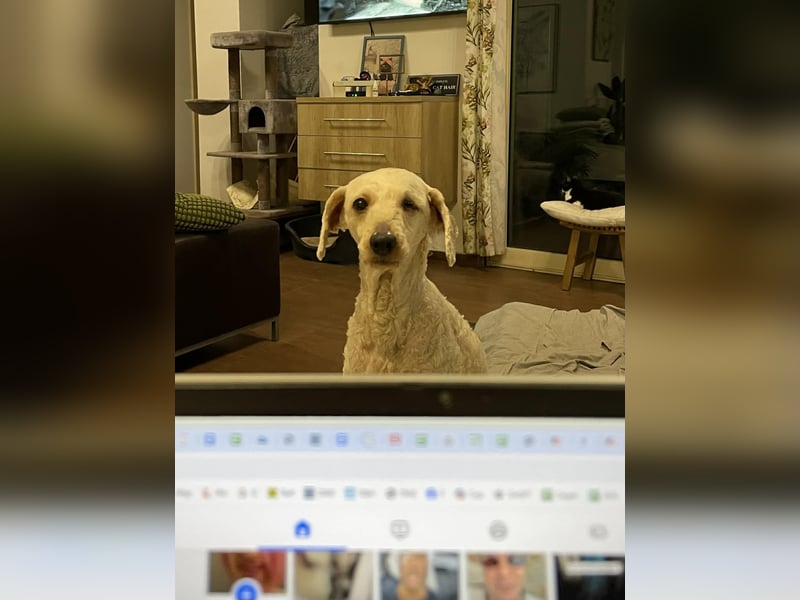 Malna möchte ankommen