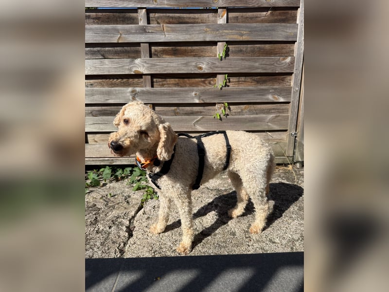 Malna - möchte dein Herz erobern