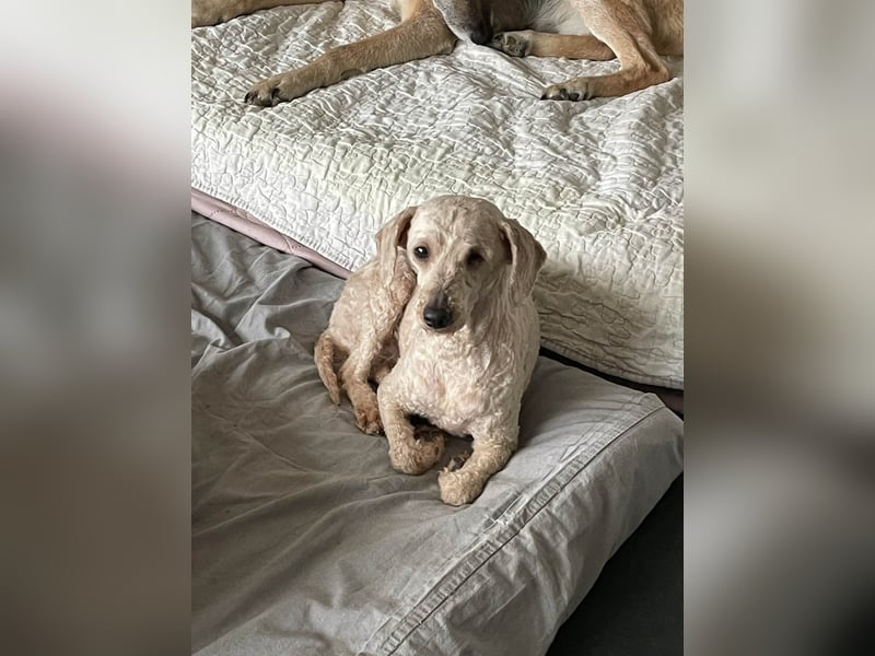 Malna möchte ankommen