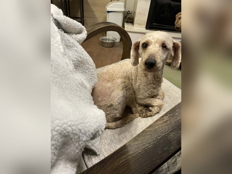 Malna möchte ankommen