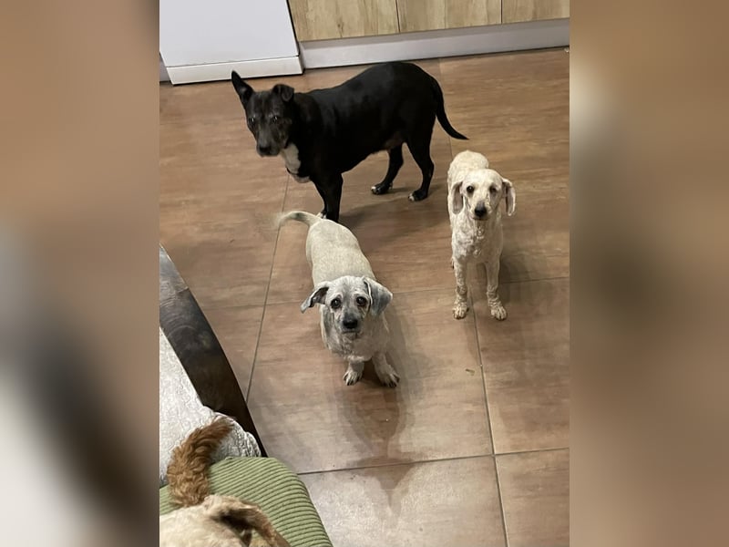 Malna möchte ankommen