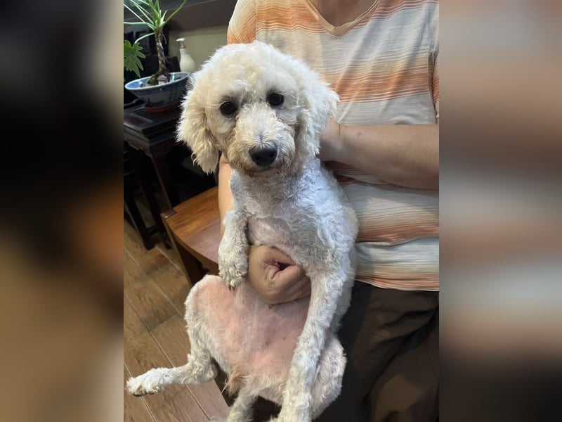 Fee sucht ihr Zuhause