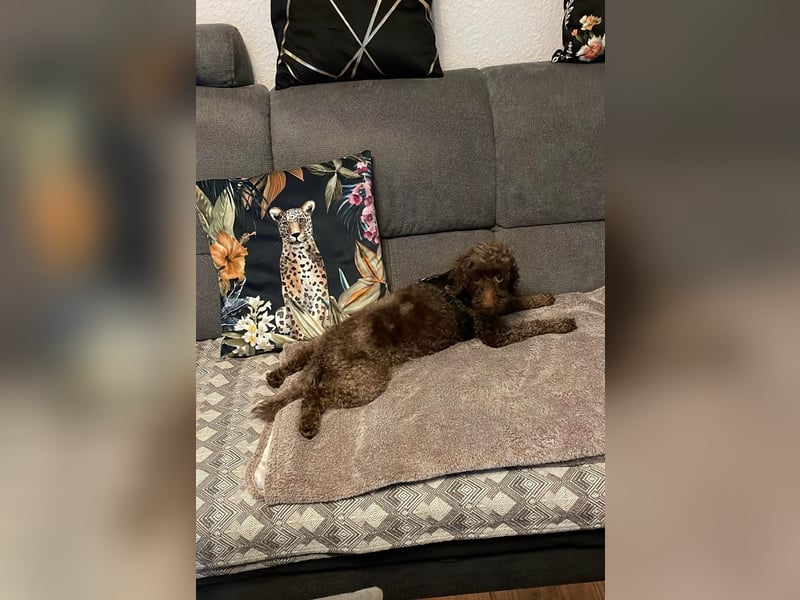 Juria ist klug, charmant und sensibel (45739 Oer-Erkenschwick)