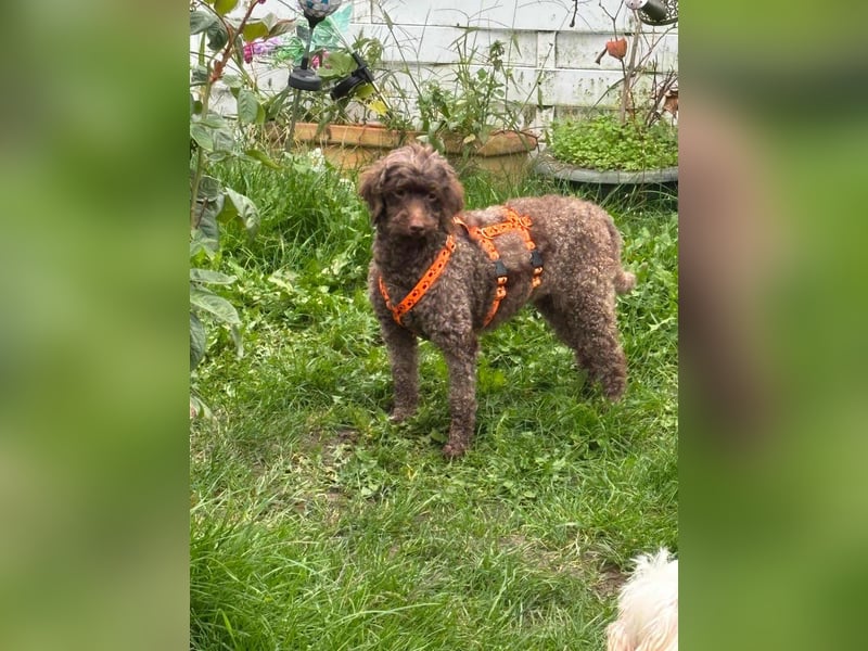 Juria ist klug, charmant und sensibel (45739 Oer-Erkenschwick)