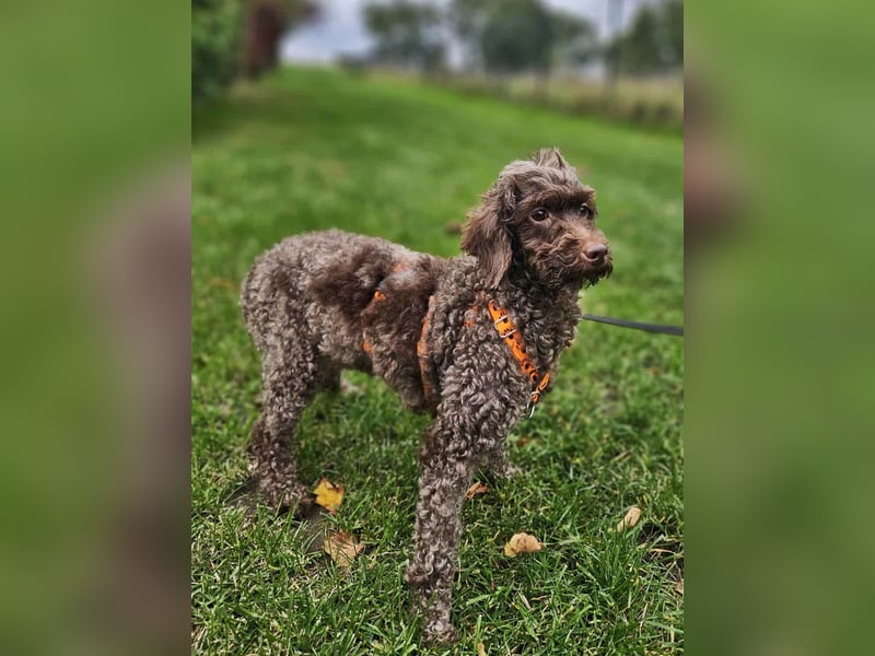 Juria ist klug, charmant und sensibel (45739 Oer-Erkenschwick)