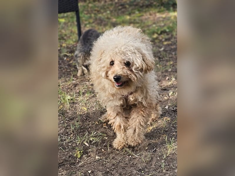 Krempita wurde nicht gut behandelt