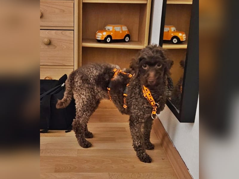 Juria ist klug, charmant und sensibel (45739 Oer-Erkenschwick)