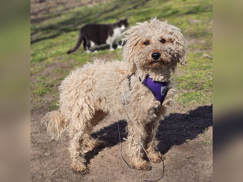 Alba kennt keine liebevolle Zuwendung