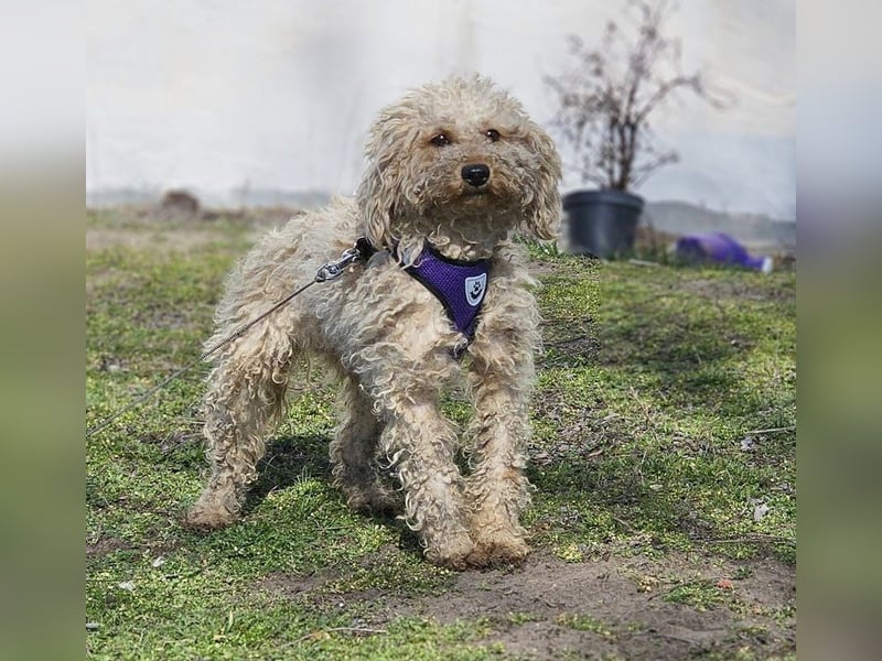 Alba kennt keine liebevolle Zuwendung