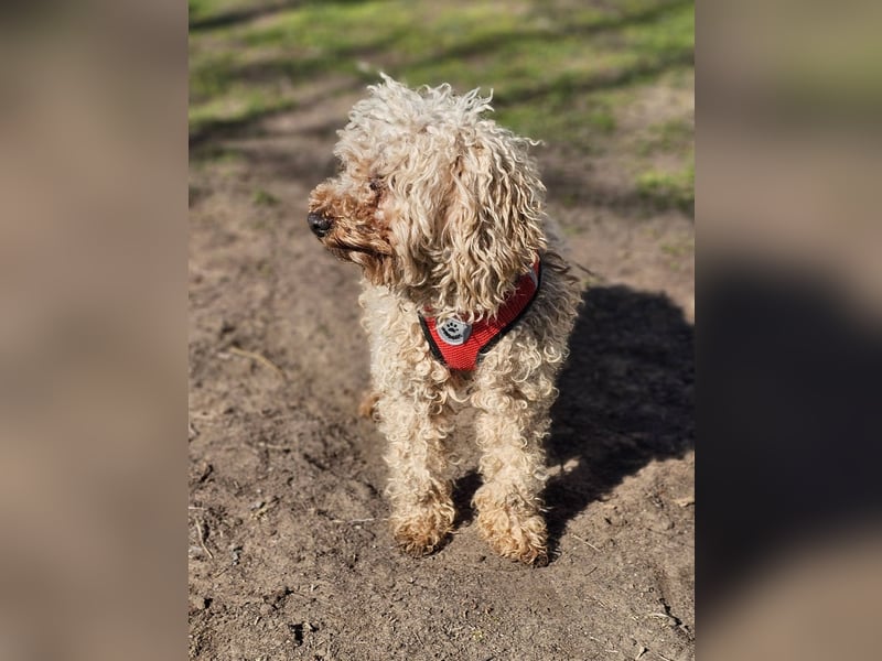 Filiz bekam nur die notwendige Zuwendung