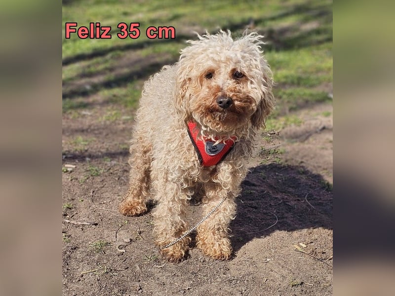 Filiz bekam nur die notwendige Zuwendung